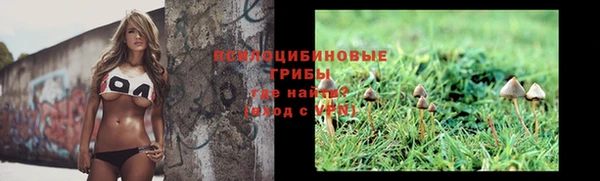 а пвп мука Дмитров