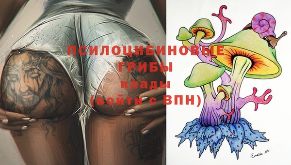 прущие крисы Дмитровск