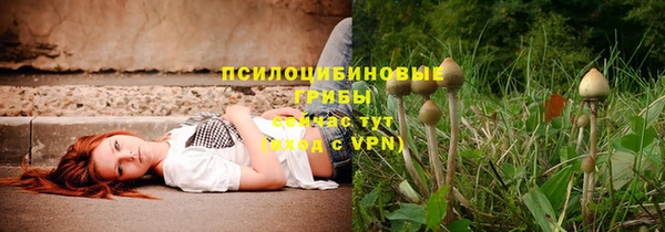 а пвп мука Дмитров